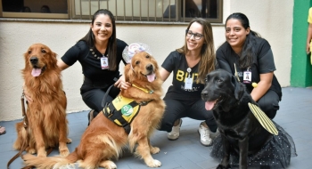 Pacientes do Hugol recebem visita de cães terapêuticos